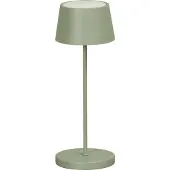 FISCHER&HONSEL GMBH Buitenlamp Asena Pro Outdoor Groen