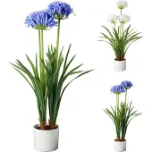 Kärkkäinen Kunstplant Agapanthus 50x80 cm Blauw/Wit Verschillende Uitvoeringen