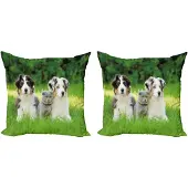 Abakuhaus Hondendekokussenhoes – 2-delig – 40x40 cm – crème groen grijs