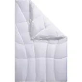 Queens - Lyocell - Dekbed - 4-seizoenen - 140x200 cm - optimale vochtregulatie