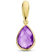 Marie-Celeste Hanger Amethyst - Goud