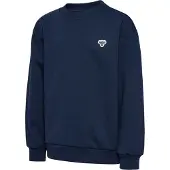 Hummel Sweatshirt enziaan