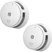 SAVS S10 Rookmelder Standalone 10 jaar 2-pack