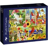 Bluebird Puzzle Feathers and Company Puzzel 1000 Stukjes