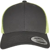 Flexfit Pet 'Retro' antraciet / neongroen