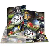 Herma Sammelmappe A4 Fussball Pappe