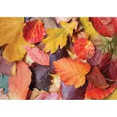 Magnolia puzzel Colorful Leaves - 1000 stukjes legpuzzel.