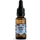 Biofloral Bachbloesems 06 Kerspruim Bio 20 ml Druppels