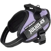 JULIUS K-9 Idc Power Mini Hondenharnas