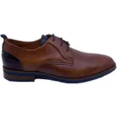 Van lier 2518642