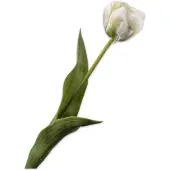 Silk-ka - Kunstbloem - tulp - creme - H47 cm - 2 stuks