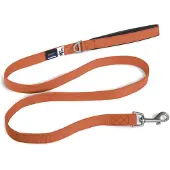 Curli Basic Leash