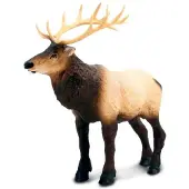 Safari Ltd Moose Figuur