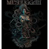 Cd The Violent Sleep Of.. - Meshuggah