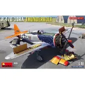 Other Modelbouwpakket Vliegtuigen - 48029 P-47D-30RA Thunderbolt Vliegtuig Plastic - 1:48 - Modelbouw