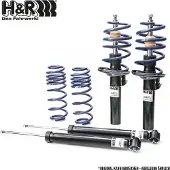 H&R 40376-1 Schokdemper met veer