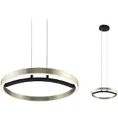 Paulmann Melira 94928 Hanglamp LED LED vast ingebouwd 24 W Zwart (mat), Goud