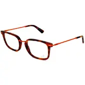 Web WE5118 Dark havana 51/21/140 MAN Brilmonturen
