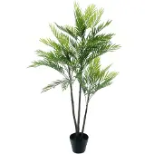 Nova Nature Areca palm Aruba in pot green 140cm