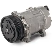 RIDEX 447K0217R Aircopomp