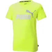 Puma Ess 2 Col Logo T-shirt