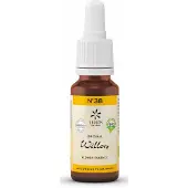 Bach Bloesem Willow bio