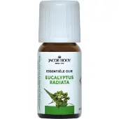 Jacob Hooy Essentiële Olie Eucalyptus Radiata