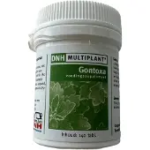 Dnh Gontoxa multiplant