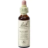 Bach Flower Remedies Herik 21