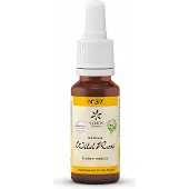 Original Bachblüten Wild rose bio