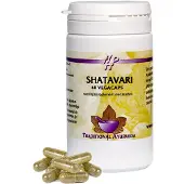 Holisan Shatavari Capsules 60st