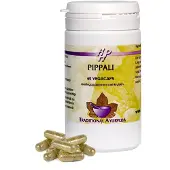 Holisan Pippali 60 vcaps