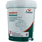 Primeval 500 gr gelatinaat hond
