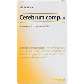 Heel Cerebrum compositum H