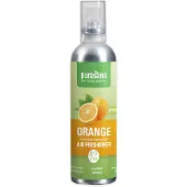 Purasana Frishi Orange Air Freshener