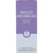 Oligoplant Angelica Arch Rpv
