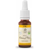 Bach Bloesem Bach bloesemremedies cherry plum bio