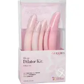 Inspire 5 Stimulatoren - dildo - roze