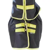 Bucas Oasis Turnout 200g + Nek Set Grijs/Limoen - 130/175 cm