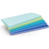 MAGNETOPLAN -presentatiekaarten Sea, rechthoekig, beschrijfbaar, B 200 x H 100 mm, in verschillende kleuren, 250 stuks