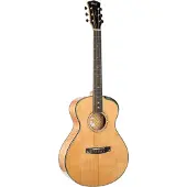 Cort Gold Passion Natural