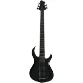 Sire Marcus Miller M2 Tbk