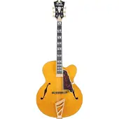 D'angelico Excel Exl-1 Amber