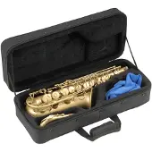 SKB MUSIC WIND INSTRUMENTS ALTO SAX SOFT CASE BLACK