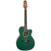 Takamine LTD2025 Gloss Antique Evergreen Elektro-akoestische gitaar