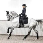 LeMieux Zadeldek Crystal Suède Zwart