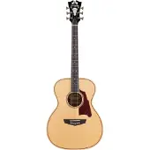 D'angelico Premier Tammany Natural