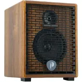 Prodipe Natural 6 V2 Walnut Wood akoestische gitaarversterker