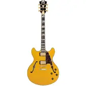 D'angelico Excel DC Amber semi-akoestische gitaar met gigbag