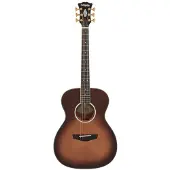 D'angelico Tammany Autumn Burst